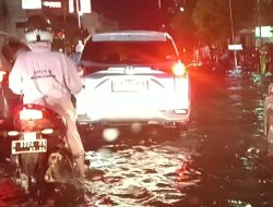 Banjir Semarang Kian Jadi Sorotan, PSHPI: Saatnya Pemkot Bertindak Nyata!